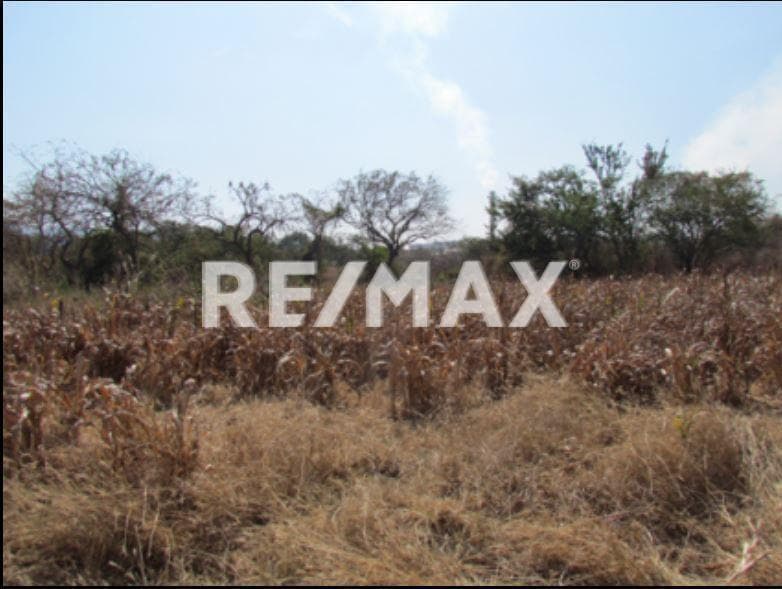 Terreno en Venta en Morelos, Ayala - 1