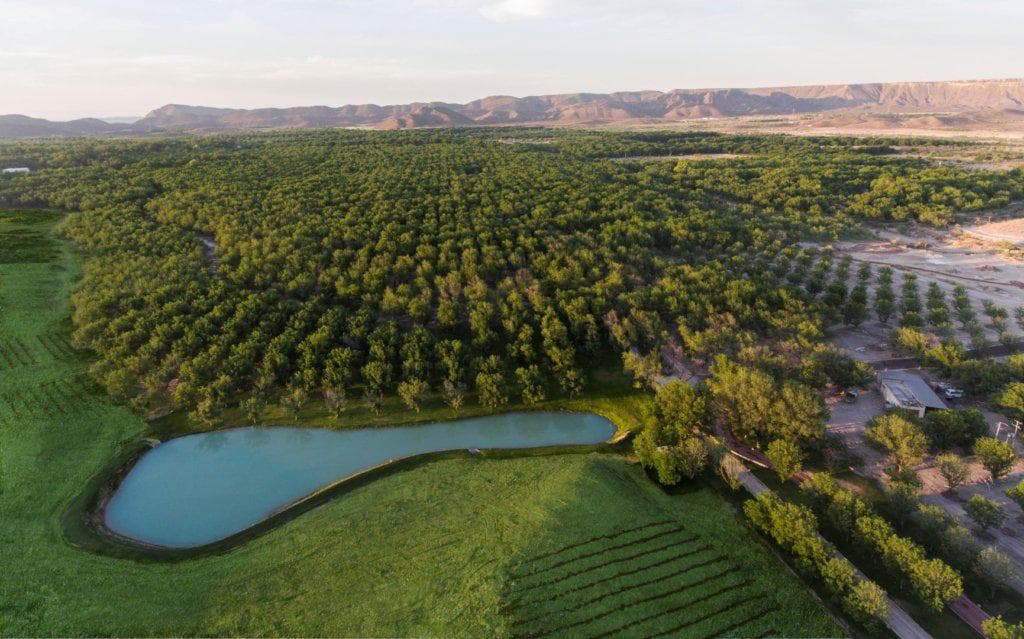 TERRENO LOTES PARRAS DE LA FUENTE COAHUILA VENTA - 1