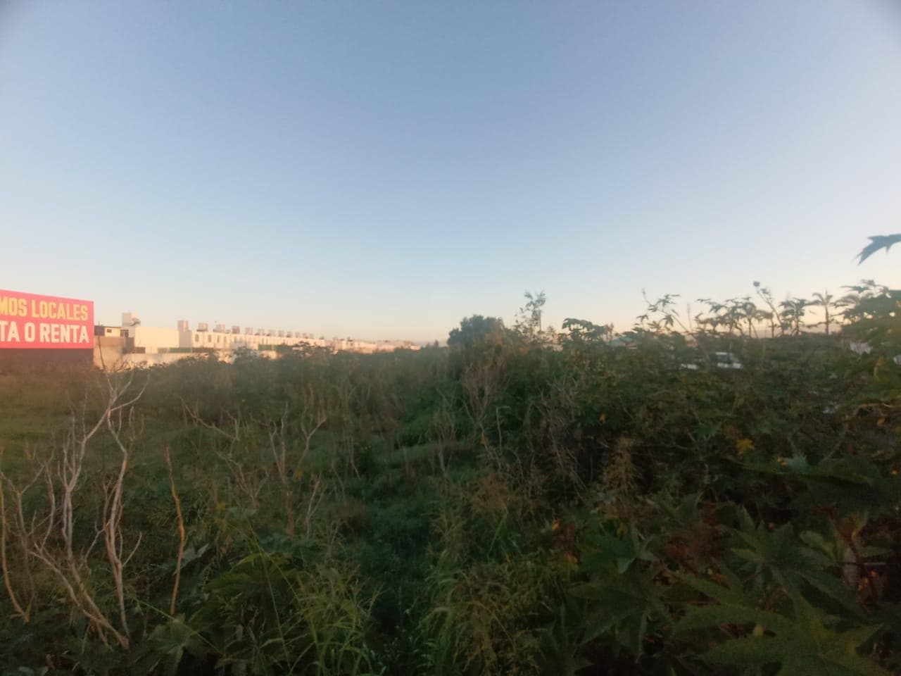 Renta de terreno en Jardines de la Hacienda, Querétaro. - 1