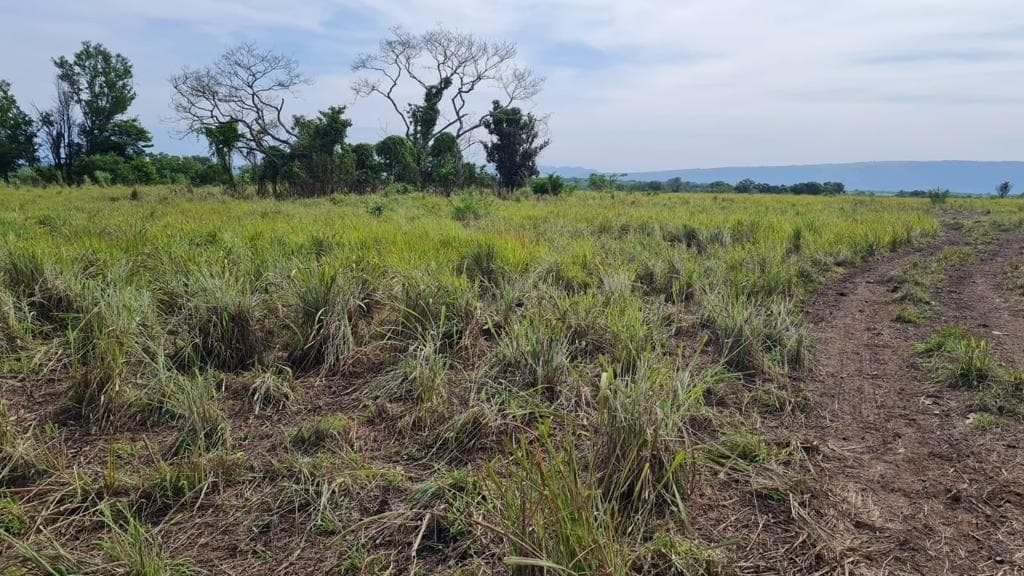 Se vende terreno de 7 hectáreas cerca del Aeropuerto Internacional - 1
