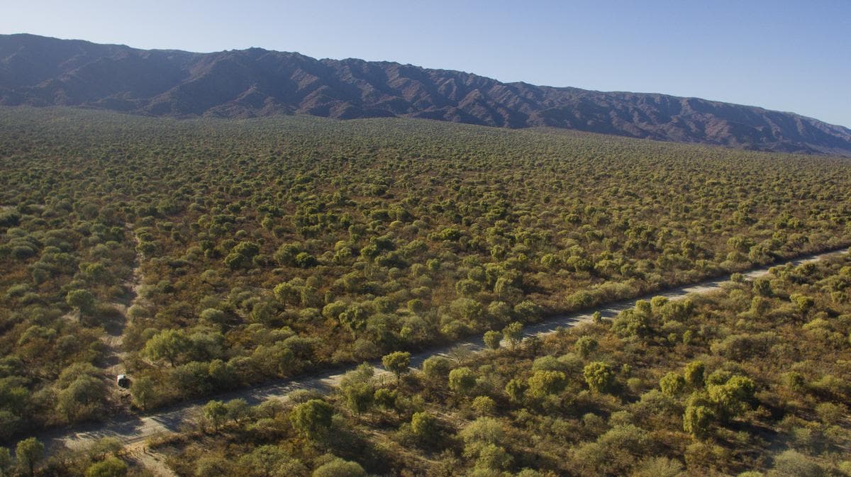Venta de Campos en Chancani Traslasierra Cordoba - 1