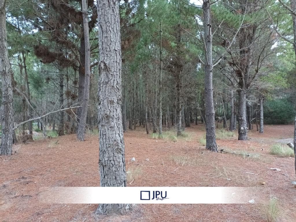 Terreno en Venta en Costa Esmeralda Barrio Senderos IV - 1