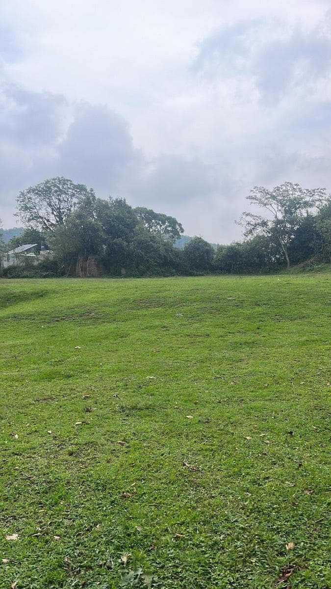 TERRENO EN BANDERILLA - 1
