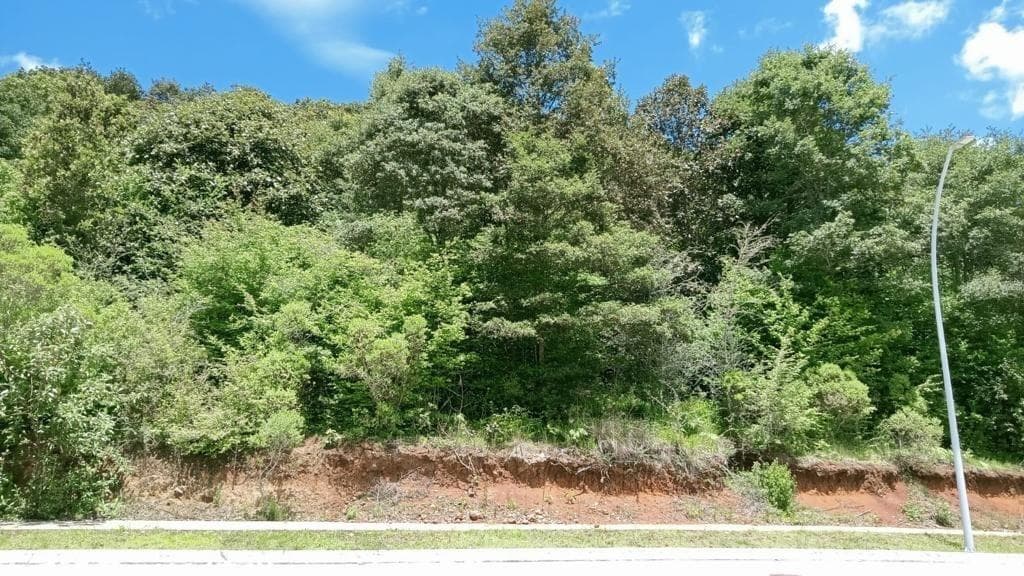 Se VENDE lote de terreno de 1,116.73 m2 en Fraccionamiento La Quinta. - 1
