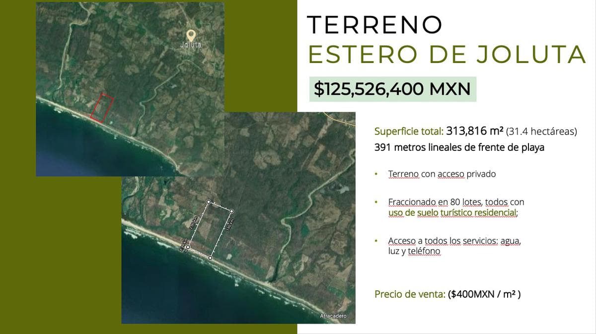 Gran terreno de 31.4 Ha con frente de playa a la venta en Joluta Guerrero. - 1