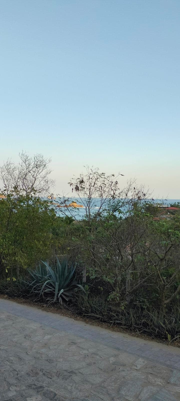 Terreno - Mazunte - 1