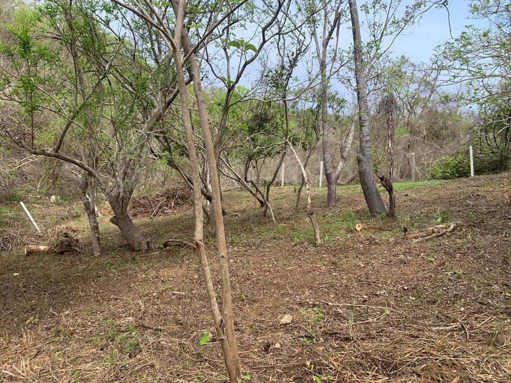 Terreno en venta en Mazunte - 1