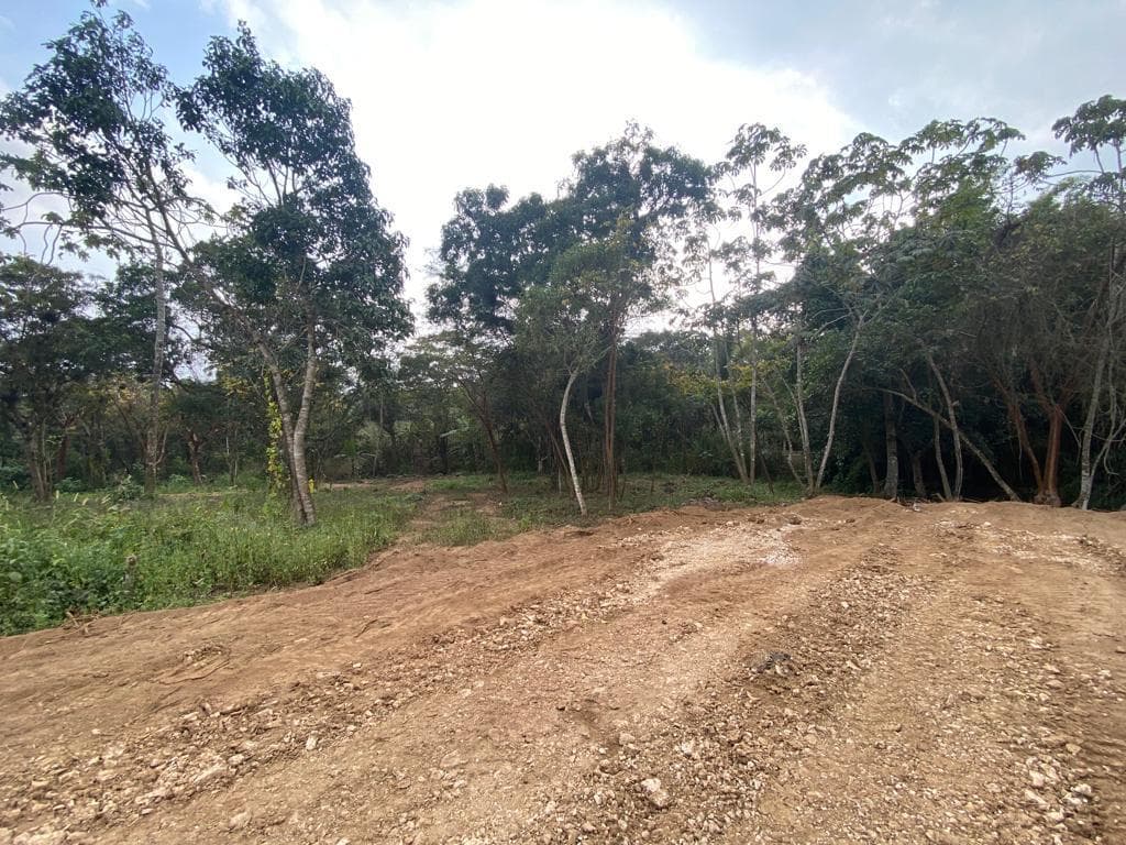 TERRENO EN VENTA EN LA ESTANZUELA VERACRUZ - 1