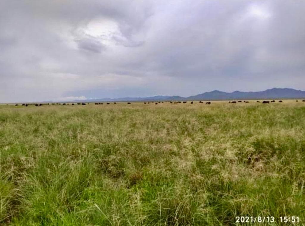 Rancho en Venta Ganadero y suceptible para agricultura (100 hectareas)- Zona Ahumada - 1