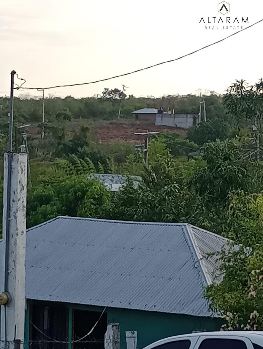 TERRENO NUM.3 EN VENTA COL. TERESA MORALES, TEMPOAL VERACRUZ. - 1