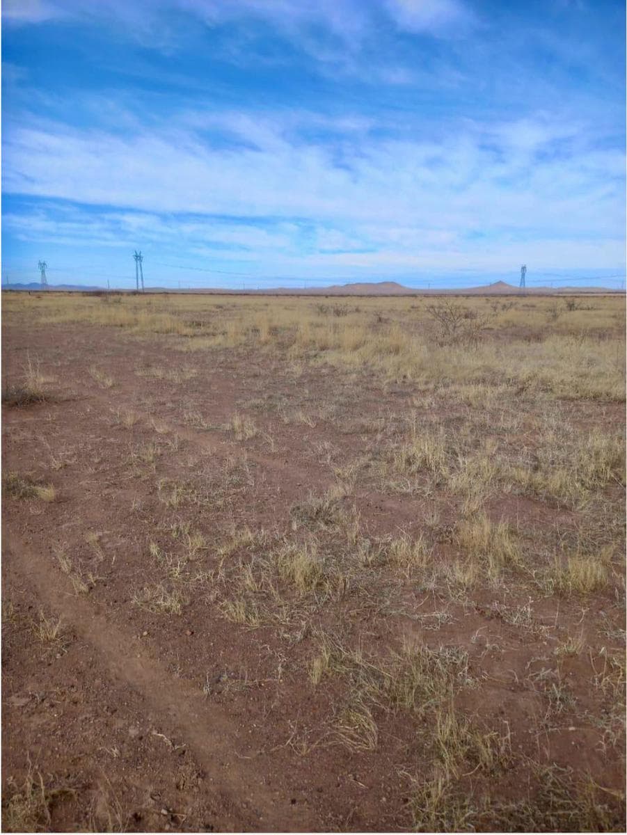 Rancho Agricola en AHUMADA, Chihuahua 120HAS - 1