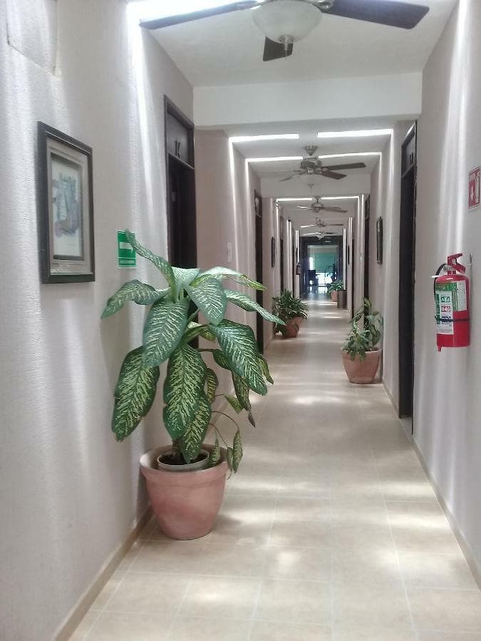 RENTA OFICINAS CHETUMAL CENTRO 14 OFICINAS - 1