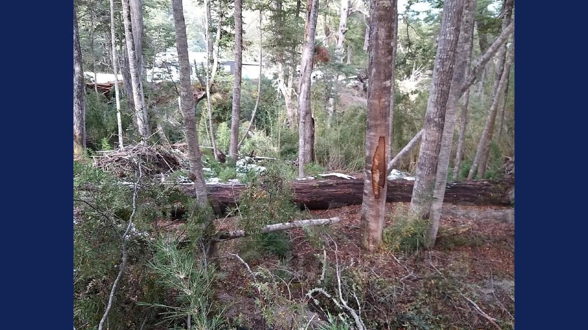 VENTA Lote/terreno 1288.07m2 UF 4 calle Ámbar Puerto Arauco Villa La Angostura - 1