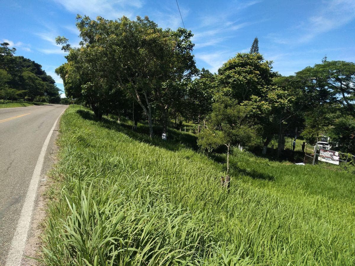 Terreno en venta 9,103 m2 sobre carretera internacional a Coita - 1