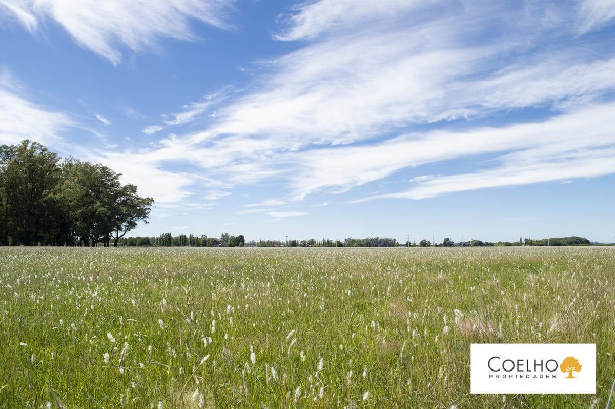 Terreno en venta en Carmen De Areco - Chacras de la Alameda - 1