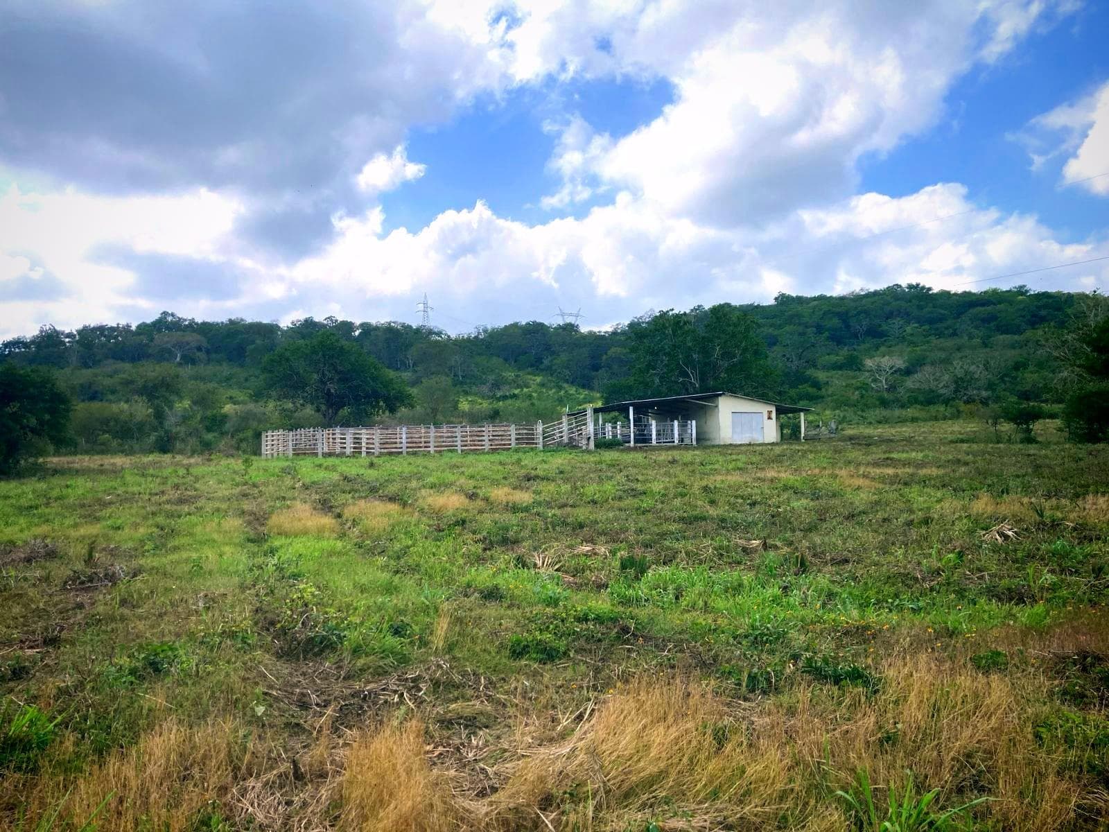 Rancho en VENTA Tampico Alto, Ver - 1