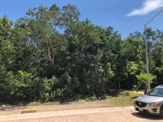 Terreno en Venta en Senderos Mayakoba B-JMJZ8062 - 1