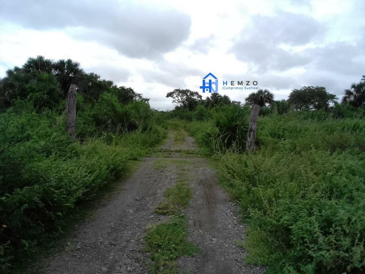 Venta de Terreno en Tlalixcoyan - 1