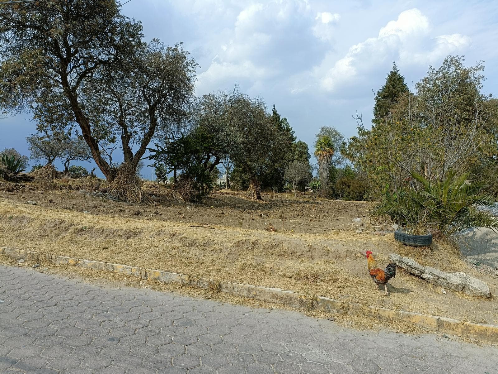 Venta de Terreno en San José Tetel, Yauhquemehcan Tlaxcala - 1