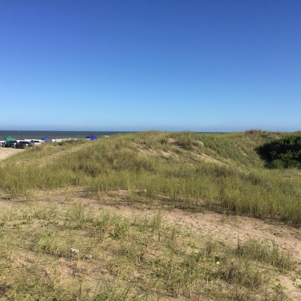 Terreno en venta Mar de Las Pampas - Dacal Bienes Raíces - 1