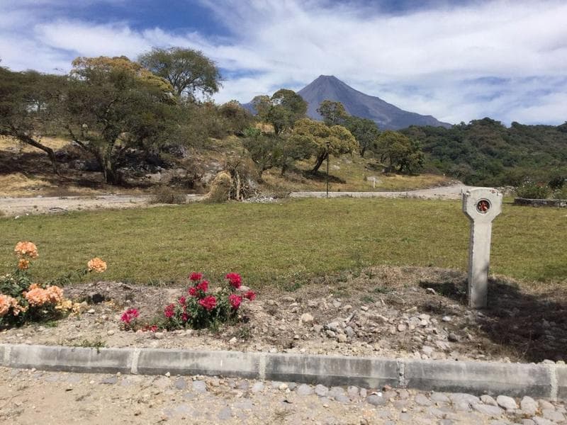 Lote Campestre en Carrizalillos, Cómala, Con todos los servicios. - 1