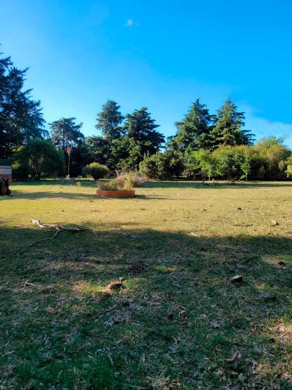 Campo en venta - 63 Hectáreas - Vieytes, Verónica - 1