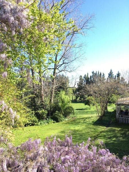 Venta - Chacra en General Madariaga - incluye hermosa casa campestre TOTALMENTE RECICLADA - 1