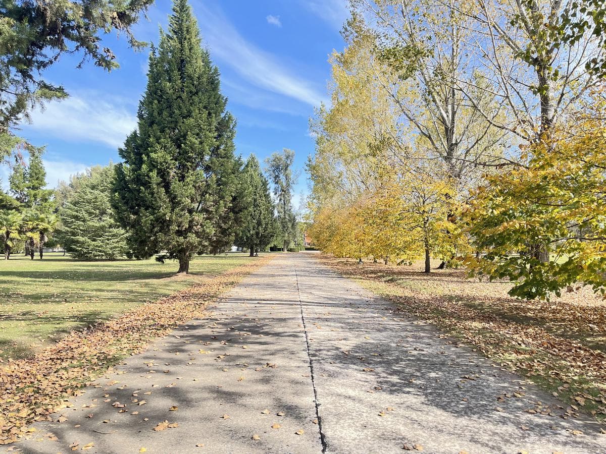 VENTA TERRENOS EN LA FEDERALA CLUB DE CAMPO LOBOS- PROMOCIÓN - 1
