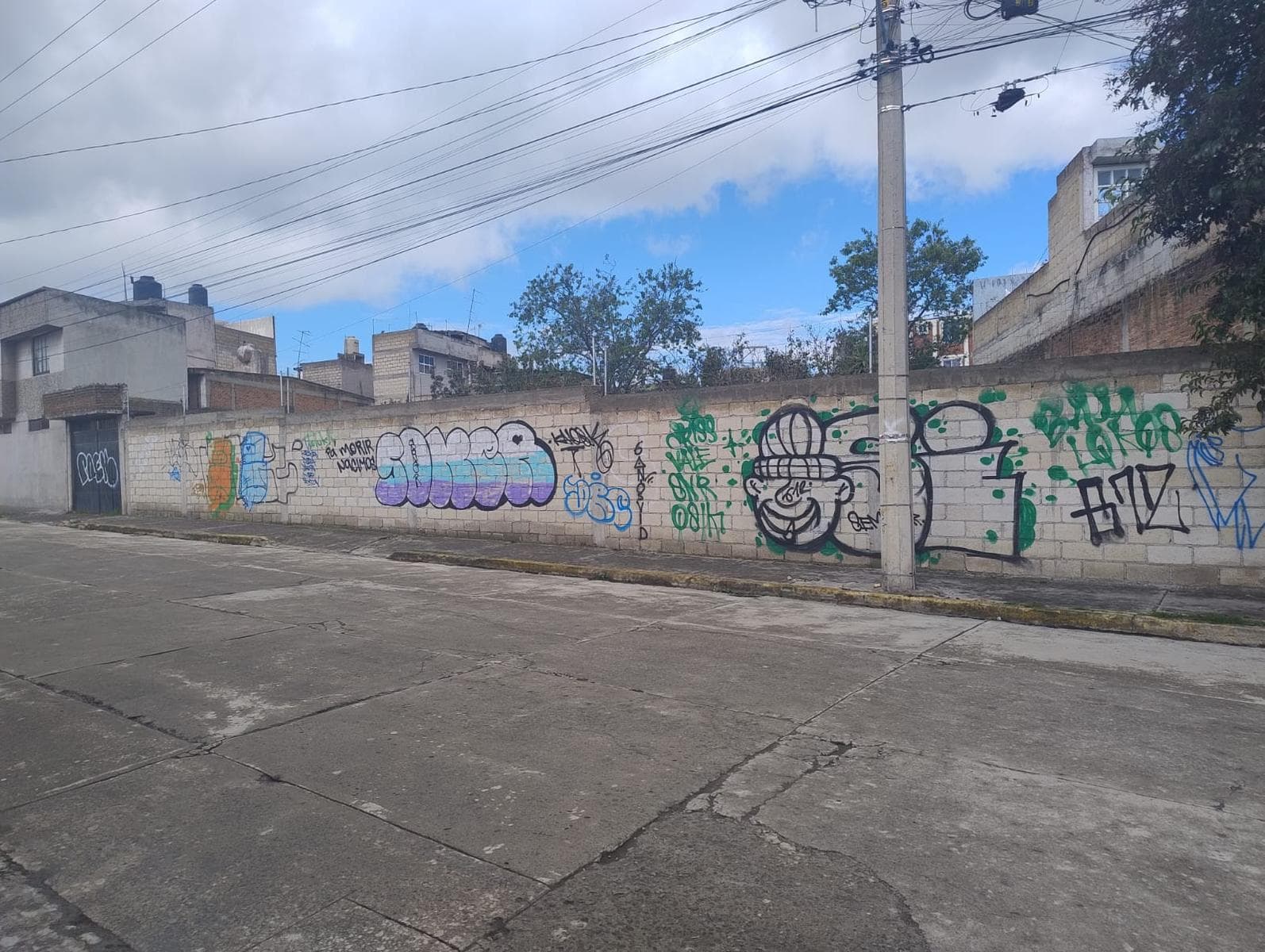 Terreno - Héroes del 5 de Mayo - 1
