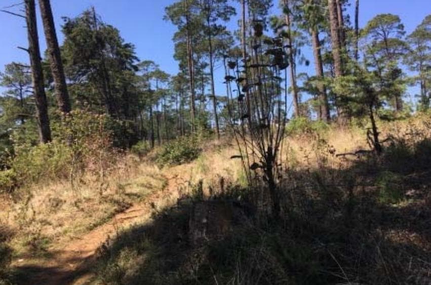 Venta de Terreno en Las Vigas de Ramírez - 1
