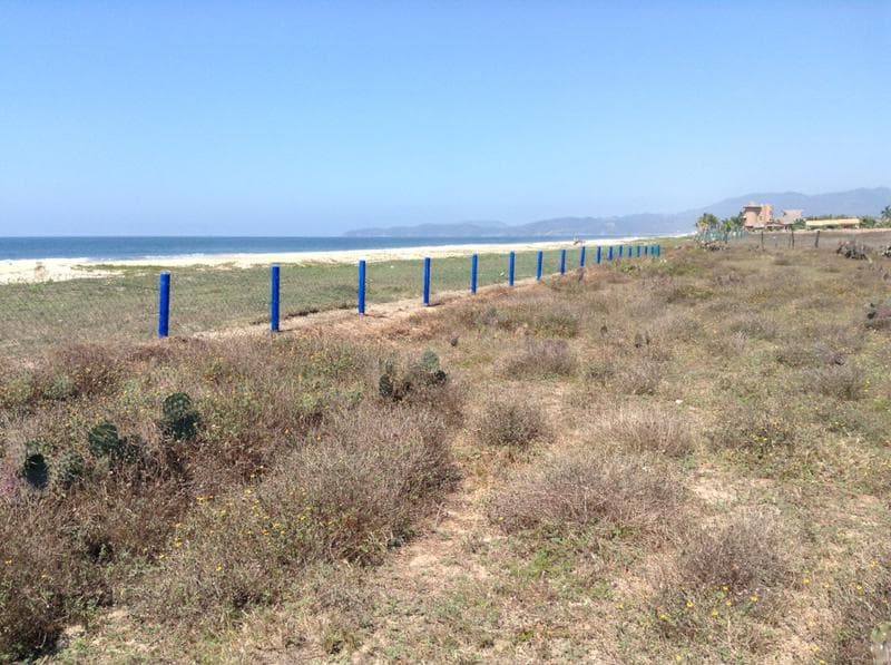 Playa Blanca, Bahía de Potosí, Zihuatanejo, Gro. Vendo terreno con playa 2500 m2 (20 m x 125 m) - 1