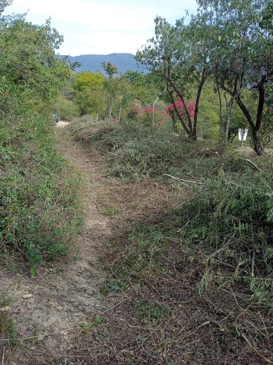 Terreno en Renta en Villa de Santiago - 1
