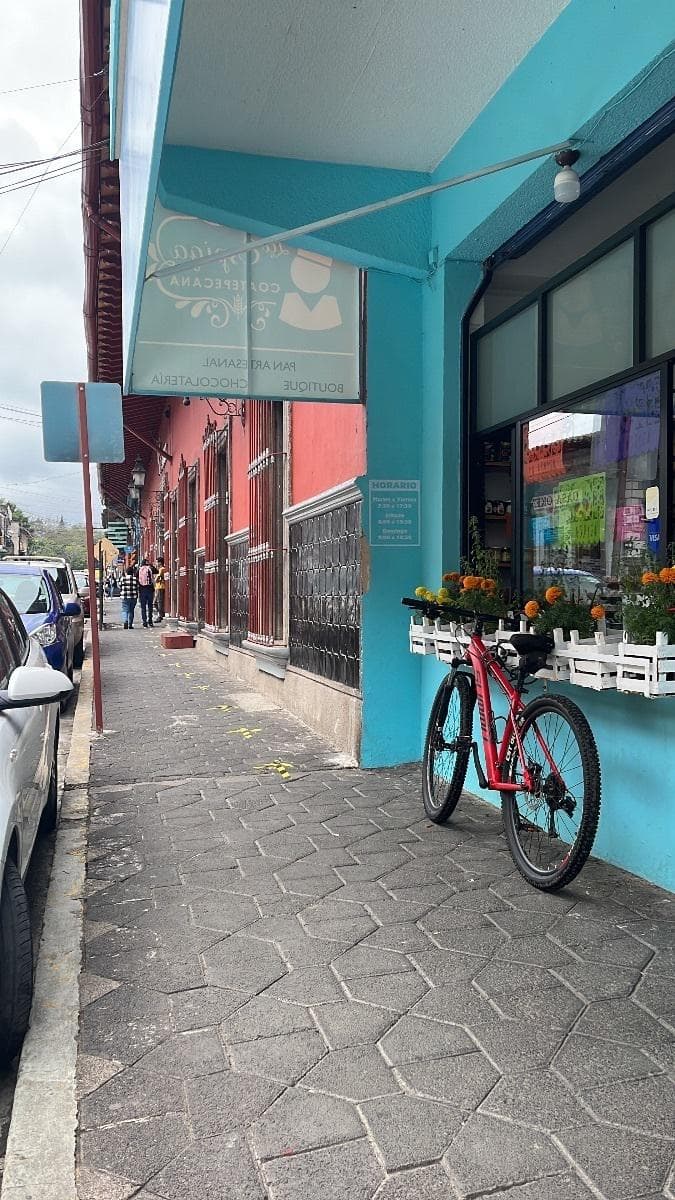 PROPIEDAD COMERCIAL EN CENTRO DE COATEPEC - 1