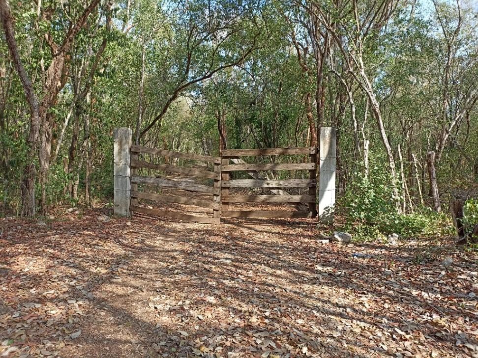 Rancho en venta en San Isidro en Yucatán - 1