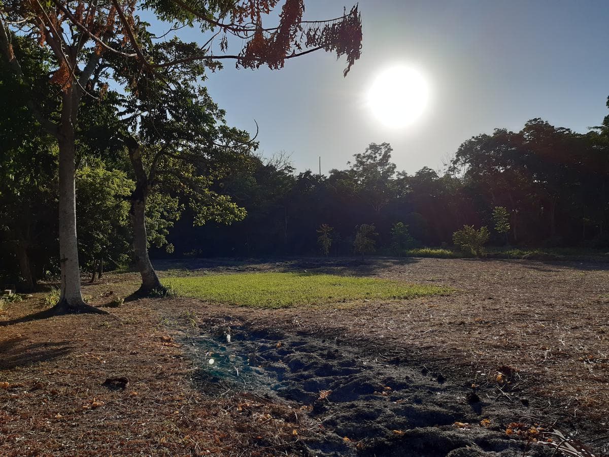 Terreno - Moctezuma - 1