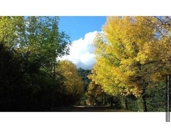 Venta de Terrenos en Las Rabonas Traslasierra Cordoba - 1