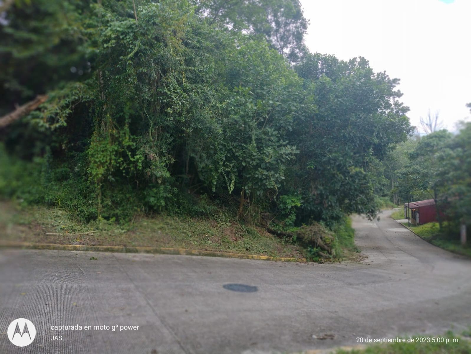 Terreno en venta en el Fracc Las Orquídeas Coatepec - 1