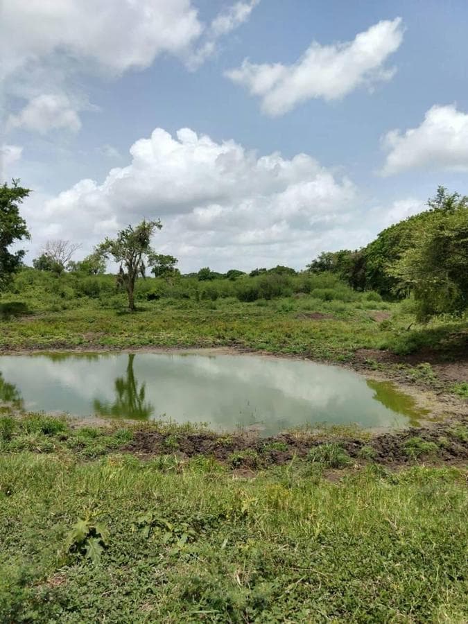 TERRENO VENTA TAMIAHUA VERACRUZ - 1