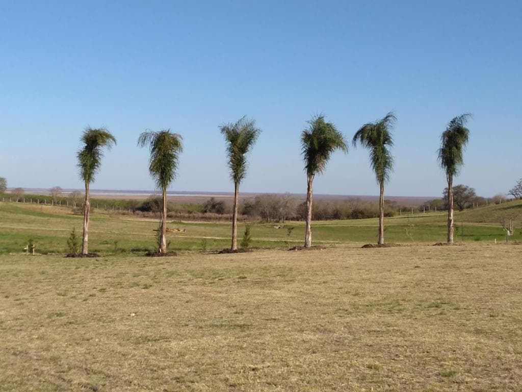 VENTA TERRENO CLUB DE CAMPO LOS ALGARROBOS - 1