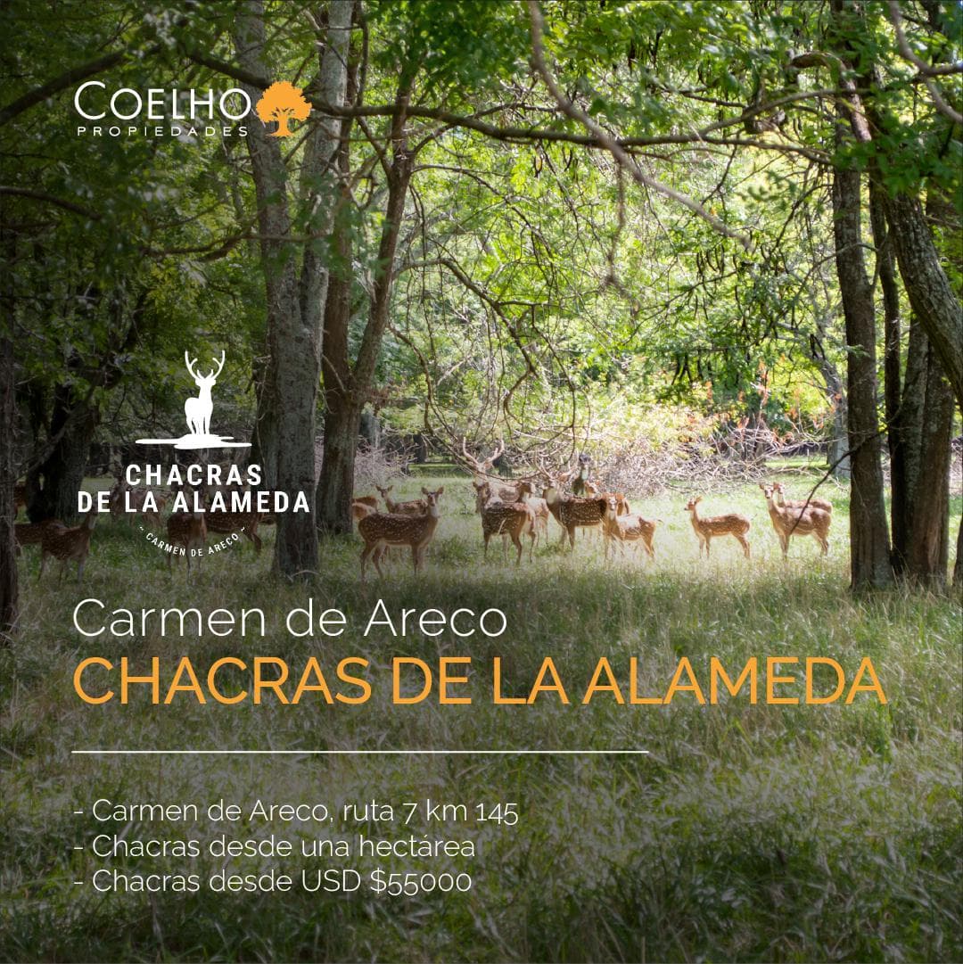 Terreno en venta en Carmen De Areco - Chacras de la Alameda - 1