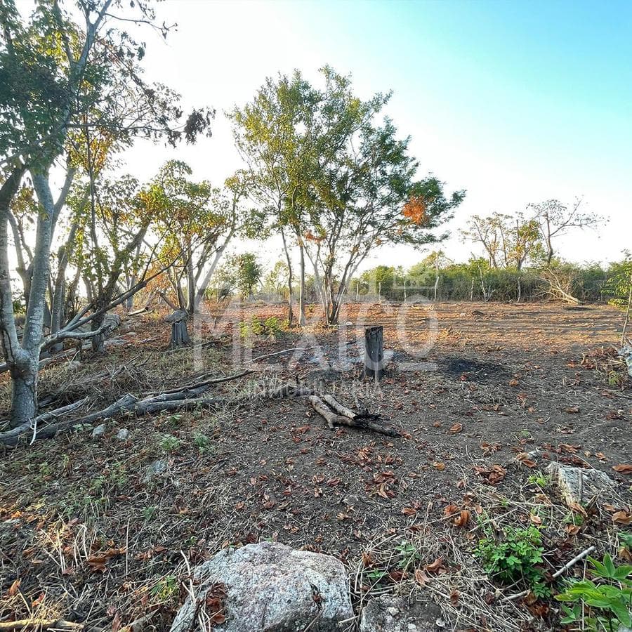 TERRENO EN PLAYA MERMEJITA, MAZUNTE TONAMECA, OAXACA - 1
