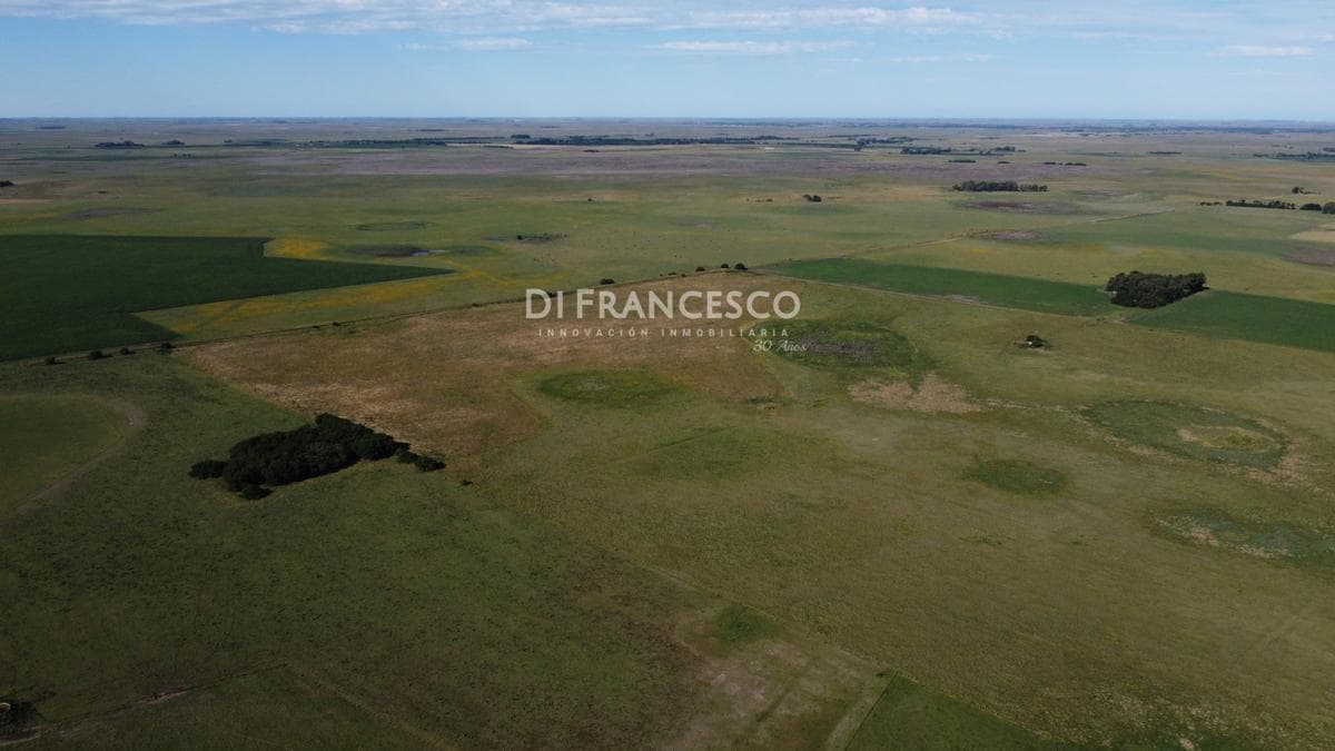 Venta - Campo de 107HA en General Madariaga - 1
