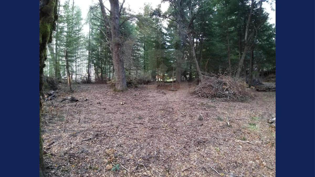 VENTA Lote/Terreno de 4955.50 m2 Cauquen 100 Altos de Manzano Villa la Angostura - 1