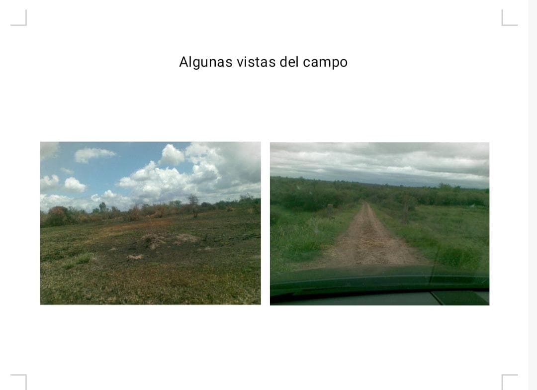 CAMPO VENTA 133 HECTAREAS CONCORDIA ENTRE RIOS VILLA ADELA - 1