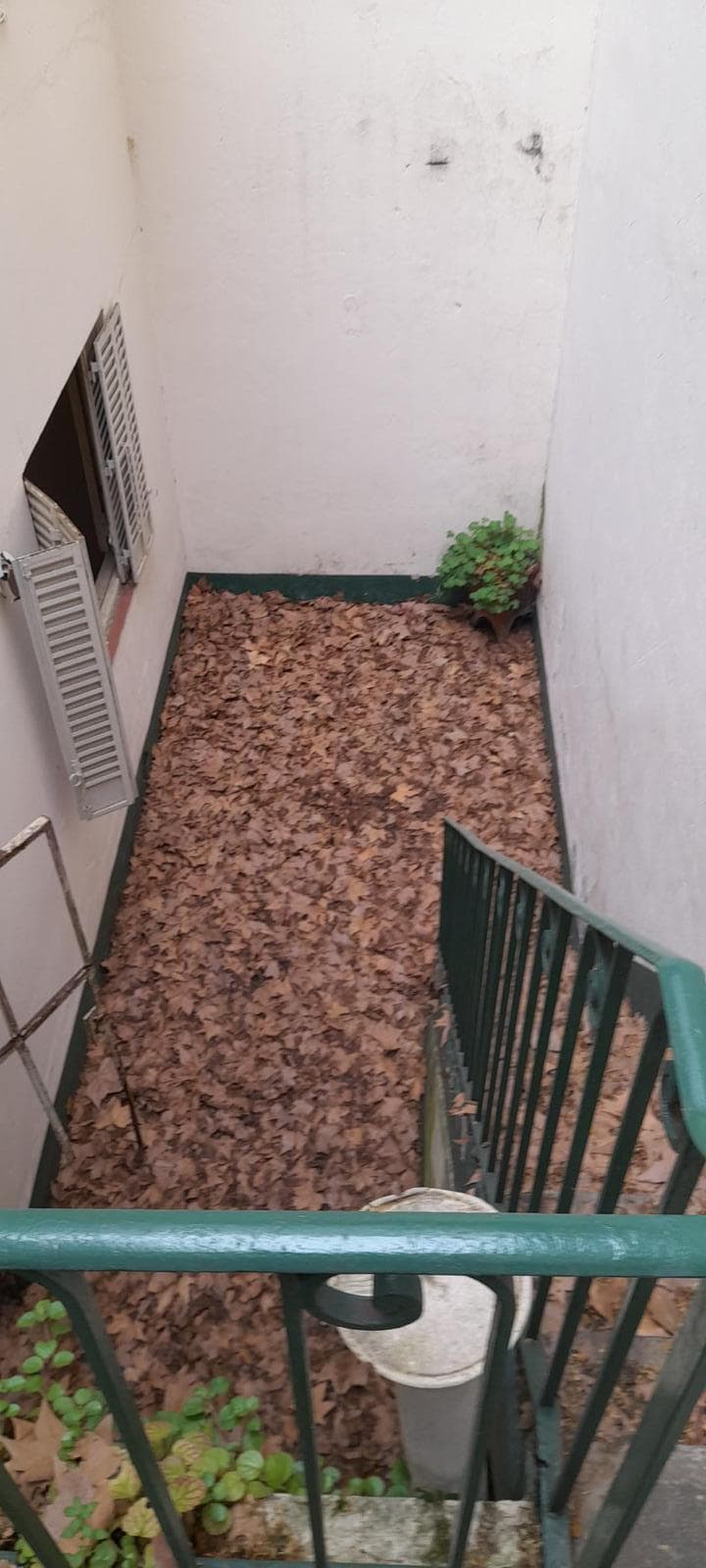 Casa en Flores Sur - 1
