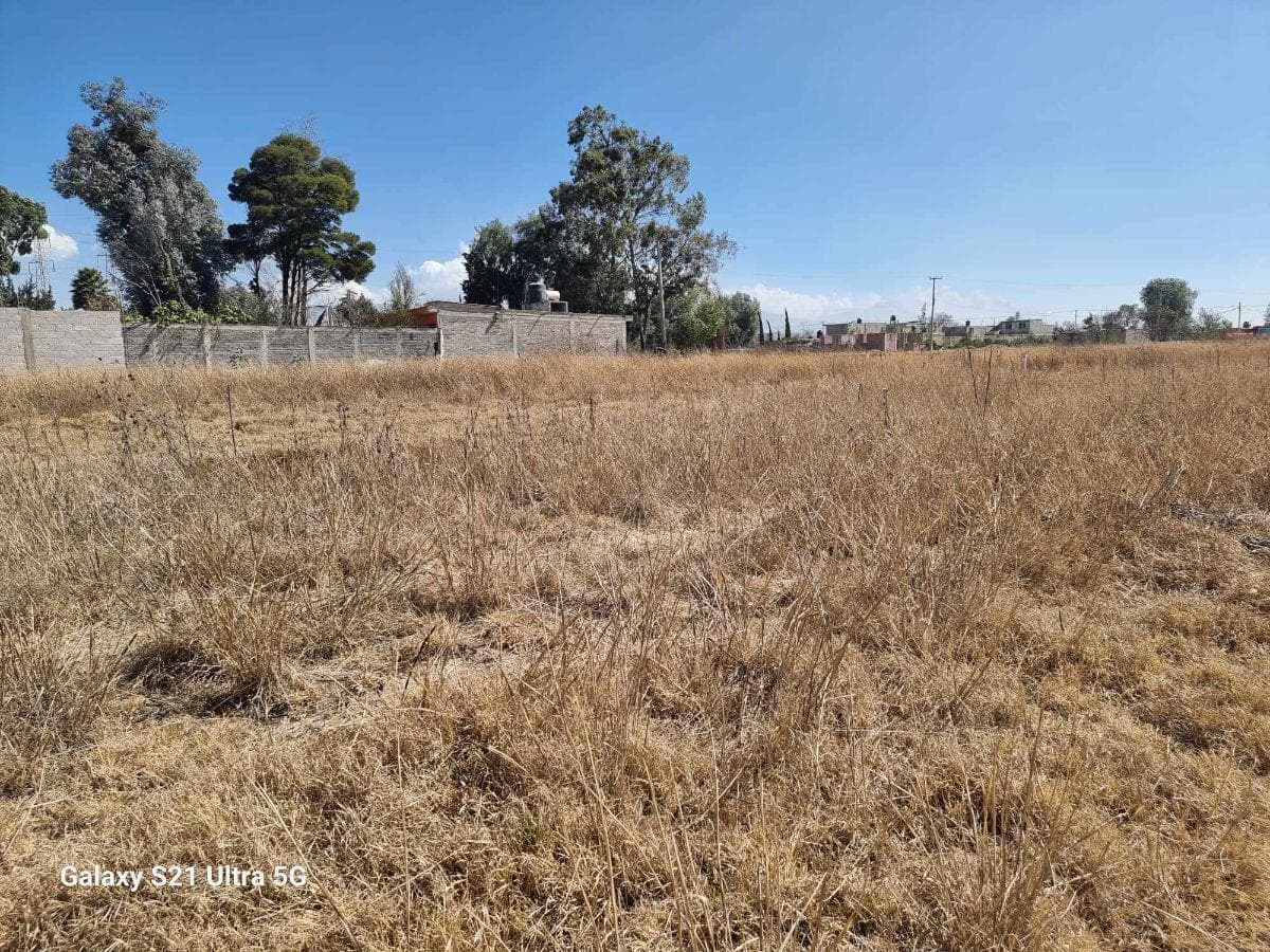 VENTA DE TERRENO EN EJIDO LA MAGDALENA PANOAYA, TEXCOCO - 1