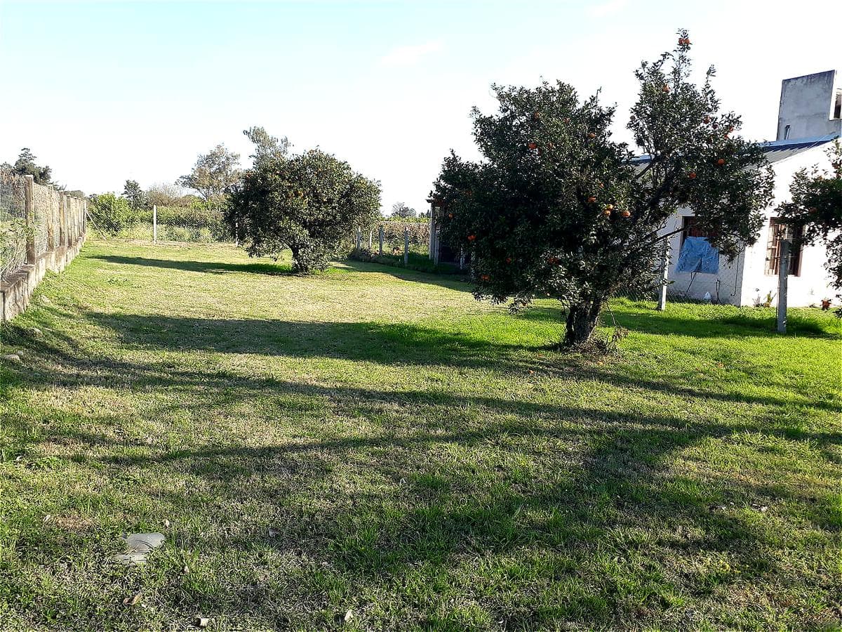 Terreno - Los Nogales - 1