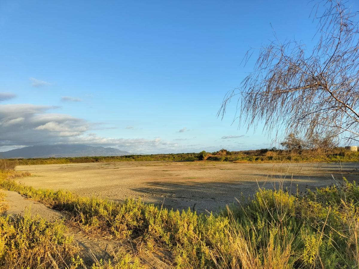 TERRENO EN LAS SALINAS, EJIDO DE LA PLAYA, MCPIO DE COYUCA DE BENITEZ, GRO - 1