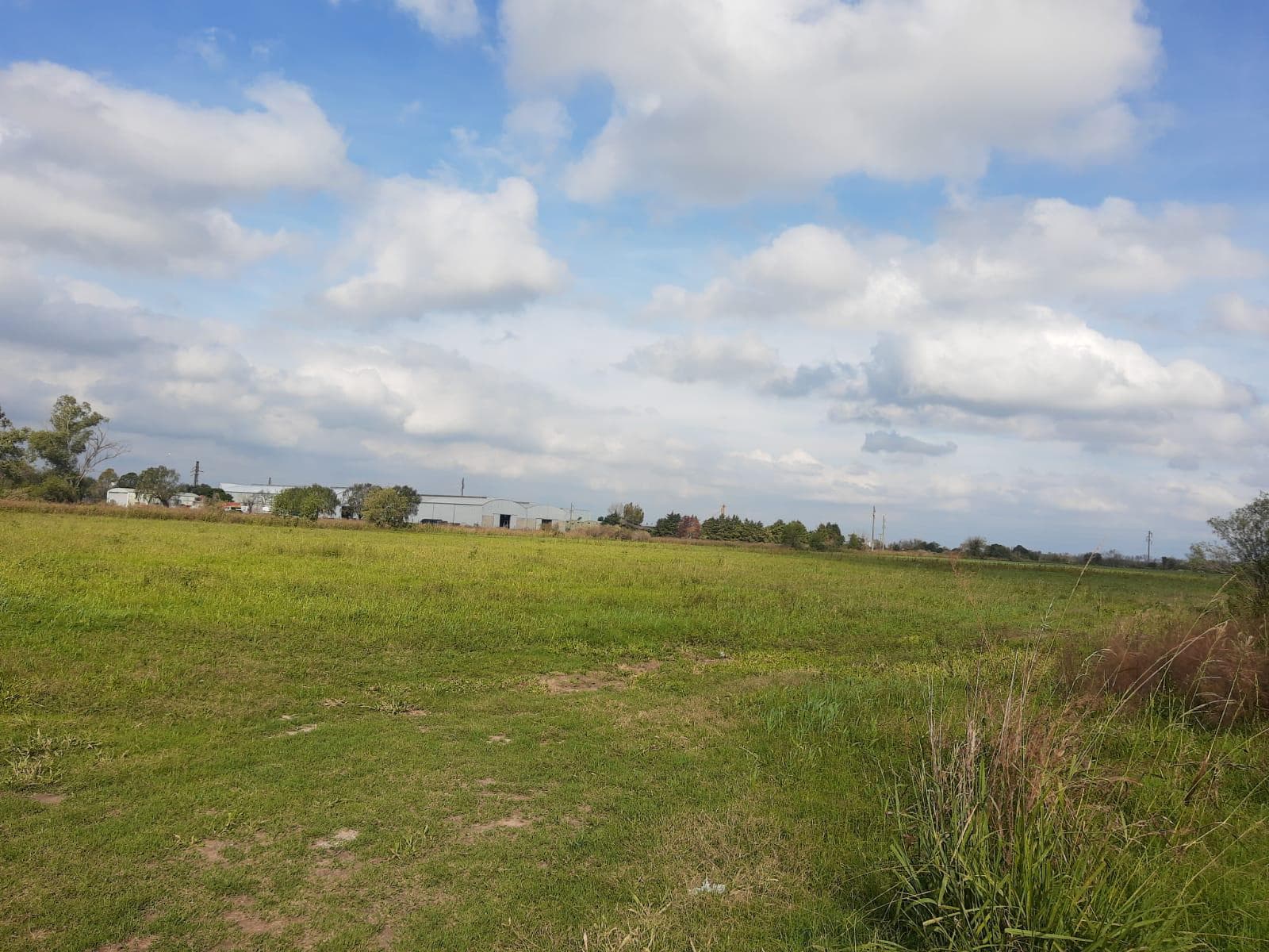 Campo en Esperanza - 1