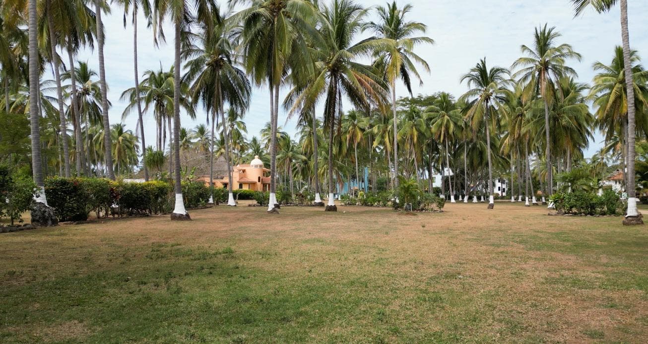 Lote de playa en venta, Compostela, Nayarit - 1